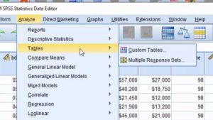 ibm spss 24 free download