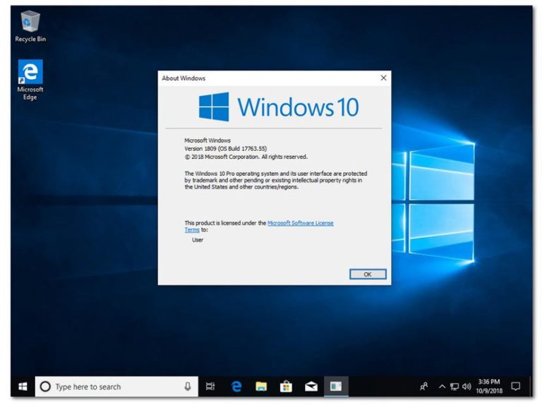 Windows 10 Pro RS5 Terbaru incl Office 2019  YASIR252